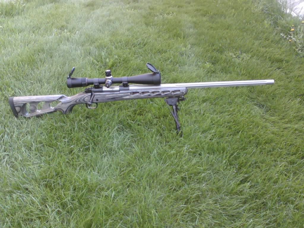 308.jpg