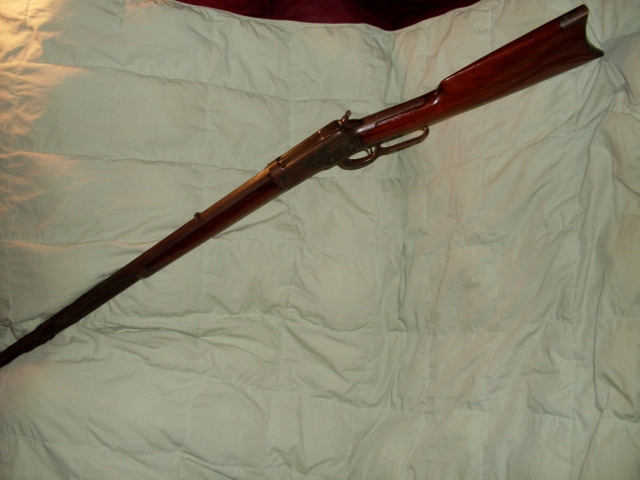 SDC10001 (640x480).jpg